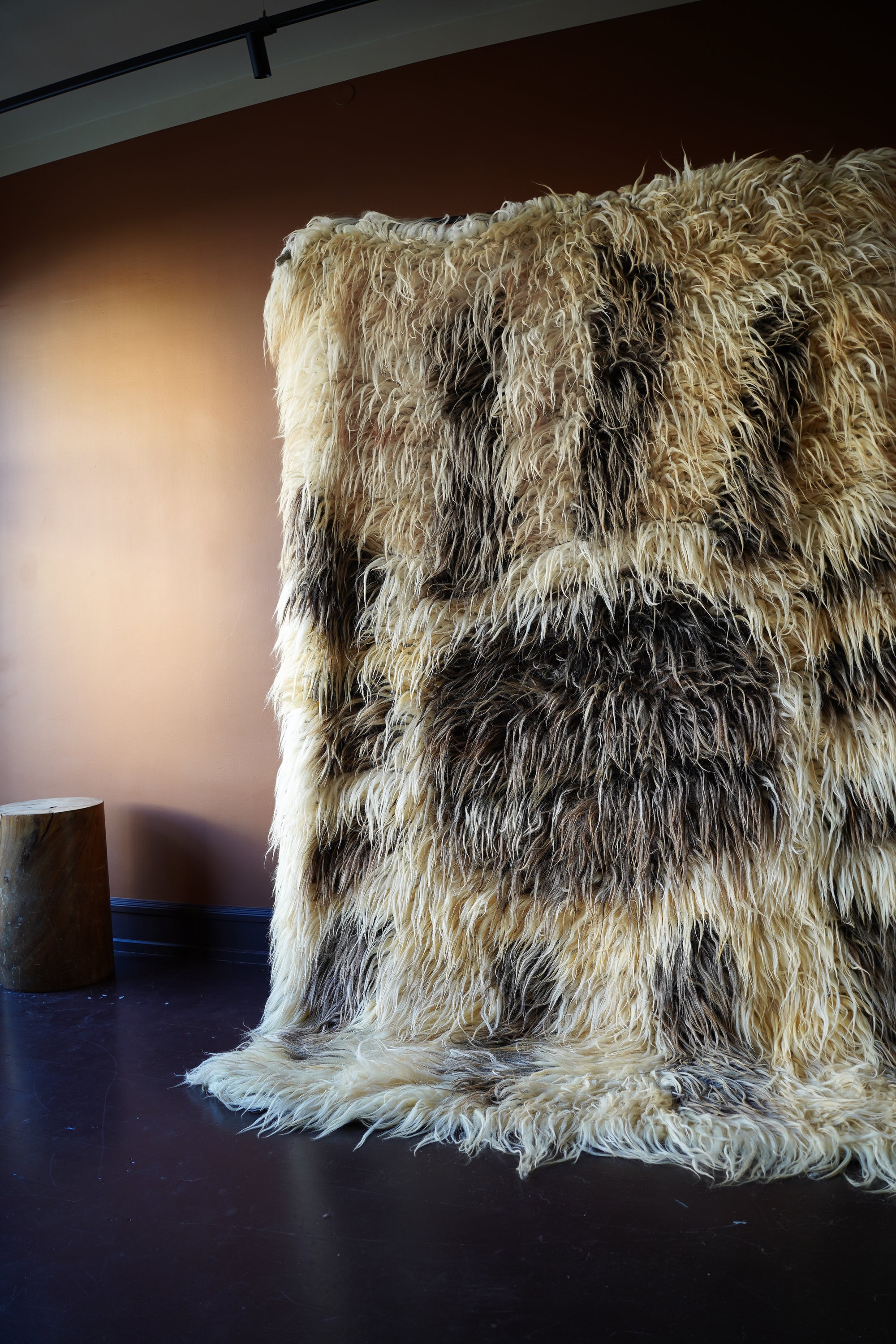 Fluffy Rug Sun